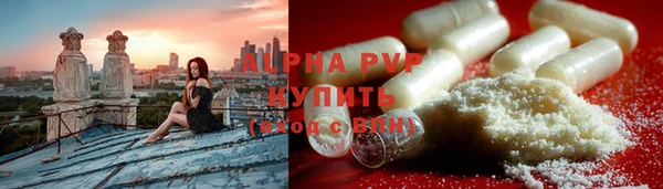 дживик Козельск