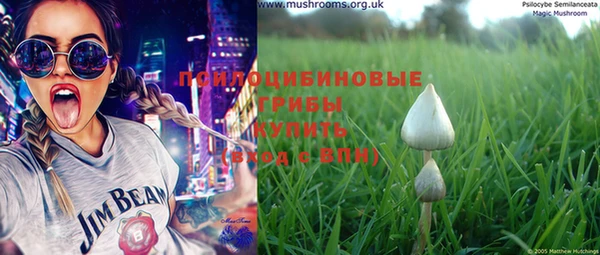 крисы Семёнов