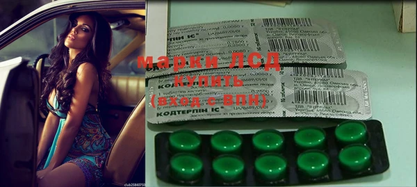 дживик Козельск